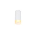 Plafondarmatuur ASTINA down, cilindrisch, met diffuser GU10 IP20, wit dimbaar