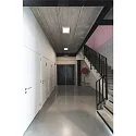 LED Wall / Ceiling luminaire SENSER 24 CW, square, 15W, 1200lm, IP20, white, 3000K