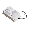 LED besturingsprogramma 4,2-50W, 1050mA, wit