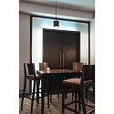 SLV Pendelarmatuur OCCULUS PD SINGLE DTW Dim-To-Warm IP20, zwart, transparant dimbaar