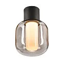 SLV Plafondarmatuur voor buiten OVALISK CL LED CCT Switch IP65, antraciet 