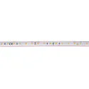 LED Strip GRAZIA IP FLEXSTRIP, 48W, 24V, 700lm/m, IP54, 2700K