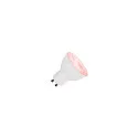 SLV LED Lamp QPAR51 GU10 RGBW smart, 5,2W, CRI90, 38°, white/transparent