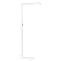 Staande lamp WORKLIGHT up down, voor BAP, met sensor, UGR < 19 IP20, wit dimbaar