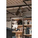 SLV 3-fase spot NUMINOS XL PHASE, zwart dimbaar