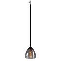 SLV Pendant luminaire PARA CONE GL GU10, transparent, black
