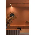 SLV track spot IN-LINE 44 TRACK 48V DALI controllable IP20, black dimmable
