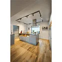 SLV track spot NUMINOS® S TRACK 48V DALI controllable IP20, black dimmable