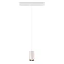 SLV pendant luminaire NUMINOS® XS TRACK 48V DALI controllable IP20, chrome, white dimmable