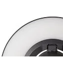 SLV outdoor floor lamp I-RING round, switchable, with diffuser, cardanic swivelling IP65, anthracite 