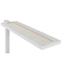 SLV Staande lamp WORKLIGHT PRO IP20, wit dimbaar