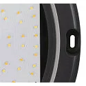 Wand- en plafondarmatuur OUTDOOR BULKHEAD V 360 HF met sensor, CCT Switch, slagvast, schakelbaar IP65, zwart, gelakt 
