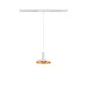 SLV lamp shade LALU® PLATE 15 MIX&MATCH, gold, white