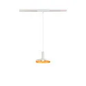 SLV lamp shade LALU® PLATE 15 MIX&MATCH, gold, white