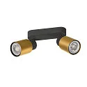 SLV Wand- en plafondarmatuur PURI 2.0 - TUBE 2-vlams, lang GU10 IP20, goud, zwart dimbaar