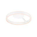 SLV wall and ceiling luminaire ONE PHASE Ø40CM up / down, CCT Switch, ring shape IP20, white matt dimmable