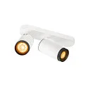 Plafondarmatuur GRIP! L SPOT CL DOUBLE cilindrisch GU10 IP20, zwart, wit, gelakt dimbaar