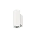 SLV Wandarmatuur voor buitenshuis HELIA PRO S UP/DOWN up / down, cilindrisch, DALI aanstuurbaar, slagvast IP65, wit, gelakt dimbaar