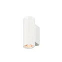 SLV Wandarmatuur voor buitenshuis HELIA PRO S UP/DOWN up / down, cilindrisch, DALI aanstuurbaar, slagvast IP65, wit, gelakt dimbaar