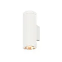 SLV outdoor wall luminaire HELIA PRO L SINGLE 1 flame, cylindrical, DALI controllable, impact resistant IP65, white