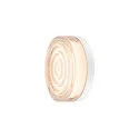 Ring CYFT XL INDOOR, wit
