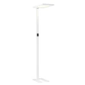 SLV floor lamp WORKLIGHT 2.0 FL UP/DOWN with touch dimmer, U-shape, UGR < 13 IP20, white dimmable
