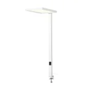 Tafelarmatuur WORKLIGHT 2.0 TL UP/DOWN met Touch-Dimmer, UGR < 13, met tabel klem IP20, wit dimbaar