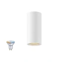Plafondarmatuur ASTO TUBE SMART SET CL SINGLE GU10 1-vlams, Set van 1, met Lamphouder GU10 IP20, wit dimbaar