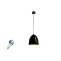 Pendelarmatuur PARA CONE 30 SMART SET E27 RGBW Set van 1, RGBW, met Lamphouder E27 IP20, dimbaar