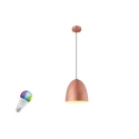 Pendelarmatuur PARA CONE 30 SMART SET E27 RGBW Set van 1, RGBW, met Lamphouder E27 IP20, dimbaar