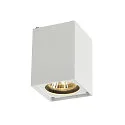 Plafondarmatuur ALTRA DICE CL-1 GU10, wit