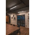 3-fase spot ALTRA DICE GU10, zwart