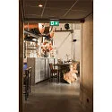 SLV Pictogramfilm P-LIGHT AREAL LED set van 3, groen