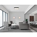 ACB Plafondarmatuur OPORTO 3973/60 met diffuser IP20, zwart