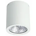 Plafondarmatuur voor buiten TYPE NO 2130 stijf E27 IP44, wit dimbaar