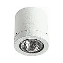 Plafondarmatuur voor buiten TYPE NO 2140 stijf GU10 IP23, wit dimbaar