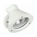 Buitenspot TYPE NO 2155 draaibaar, onbreekbaar E27 IP54, wit dimbaar