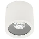Plafondarmatuur voor buiten TYPE NO 2319 draaibaar IP44, wit mat dimbaar