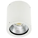 Plafondarmatuur voor buiten TYPE NO 2380 stijf IP44, wit mat dimbaar