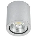 Plafondarmatuur voor buiten TYPE NO 2380 stijf IP44, zilver mat dimbaar