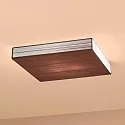 Axolight Plafondarmatuur PL CLAVIUS E27 IP20, tabak dimbaar