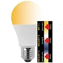 HWH LED lamp peervorm A60 CCT Switch, schakelbaar E27 10W 810lm 2700,6500,4000K 200° CRI >80 