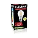 HWH LED Lamp pear shape, 4,5W (40W), E27, 470lm, 2700K, glass clear