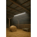 HWH Armatuur voor vochtige ruimten PROFILINE HUMI-LED VARI 150 G13 IP65, grijs, transparant 