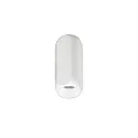 Downlight PENCIL MAXI cilindrisch, opbouwversie IP20, gepoedercoat, wit dimbaar