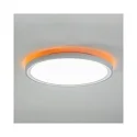 Brumberg Plafondarmatuur SUNNY MIDI / 44CM DALI-2 DALI aanstuurbaar, CCT Switch, direct / indirect IP20, wit mat dimbaar