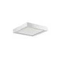 LED paneel REFIDO 2CCT DALI-2 / 32.5 X 32.5 CM Opbouwversie, DALI aanstuurbaar, CCT Switch, UGR < 19, dimbaar 13