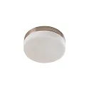 Wand- en plafondarmatuur IDA Ø 23.5CM 2-vlams E27 IP44, nikkel mat dimbaar