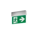emergency luminaire EKW IP41, silver