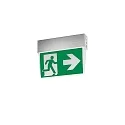 emergency luminaire EKW IP41, silver